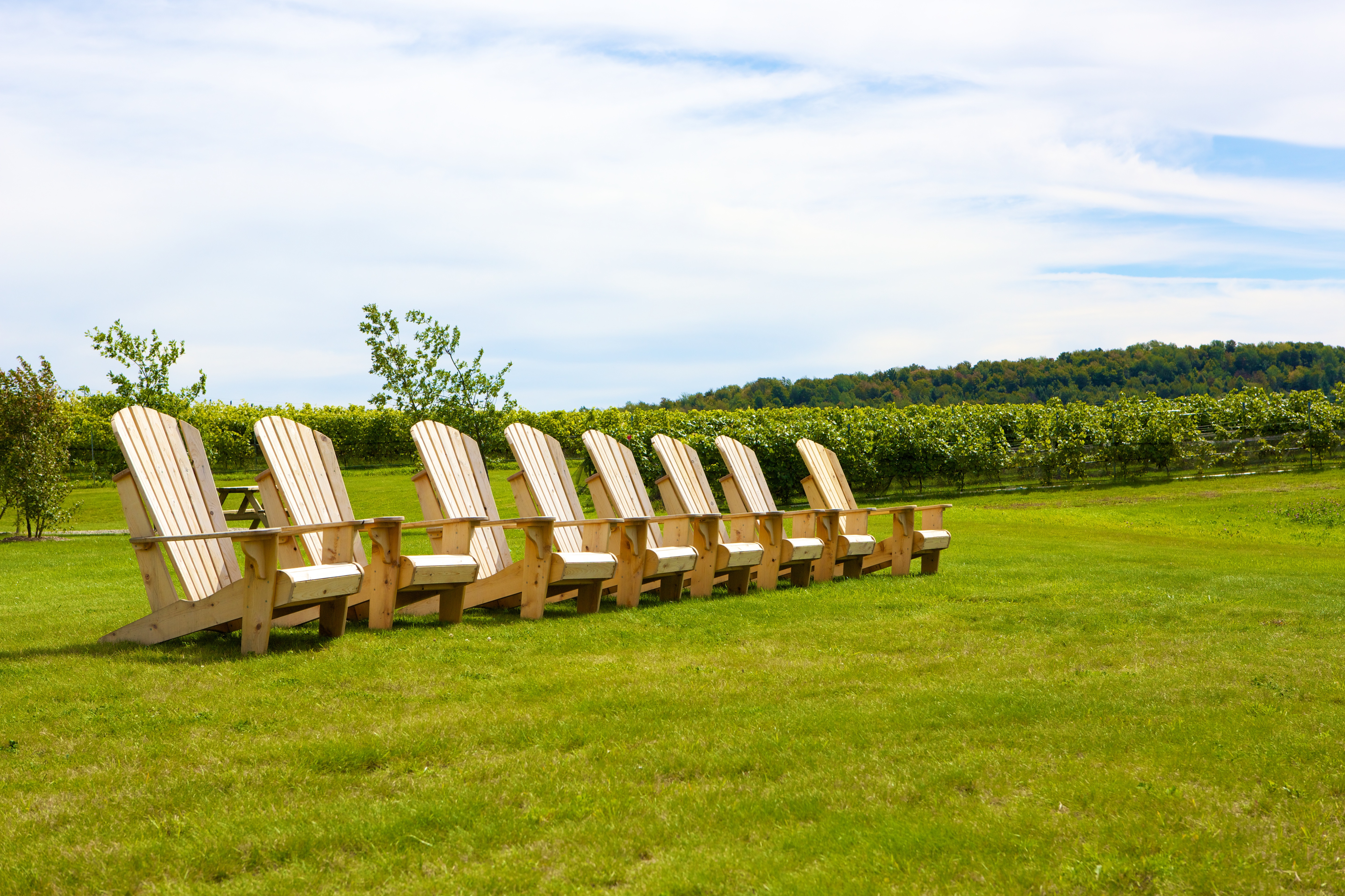 Vignoble Les Vallons De Wadleigh